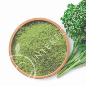 ผงผักเคล 25 กิโลกรัม (Kale Powder)