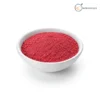 Dragon Fruit Powder_KC
