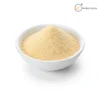 Barley Malt Extract Powder_KC