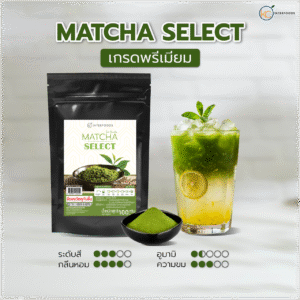 Premium-Grade-Zhejiang-Matcha